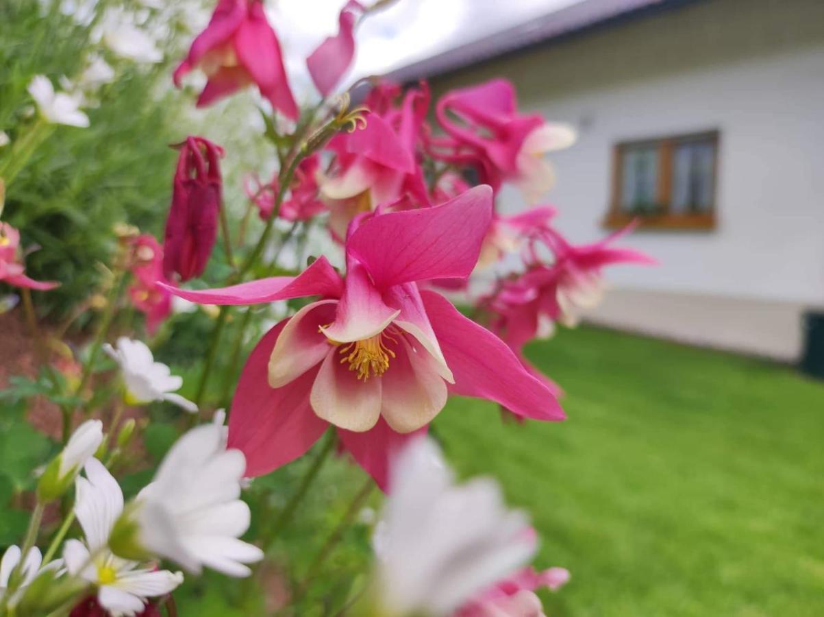 Edelstein Ferienwohnung ฟิลิปป์ซรอยท์ ภายนอก รูปภาพ